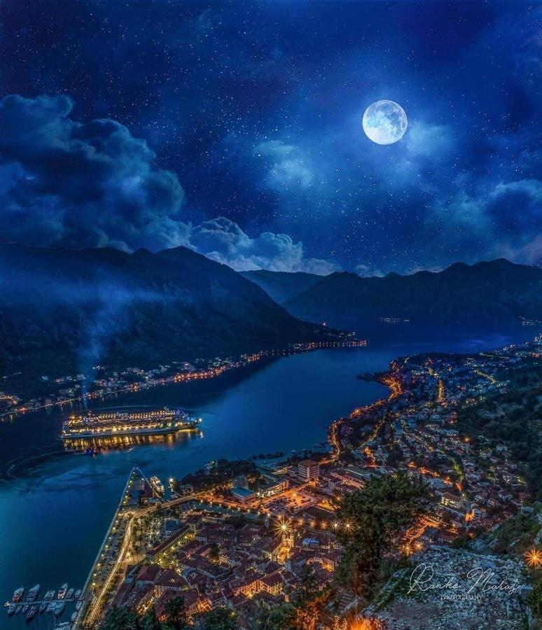 Alisa Sea View Apartment Prcanj Kotor Exteriör bild
